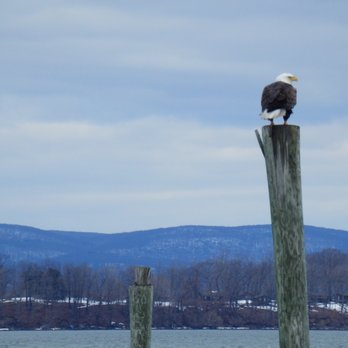 Westerly Marina - Very Good Neighbors - Marinas Near Me - Ossining, New York Westerly Marina - Very Good Neighbors - Marinas Near Me - Ossining, New York