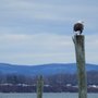 Photo of Westerly Marina