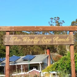 Woolly Egg Ranch - The Wooly Egg Ranch sign