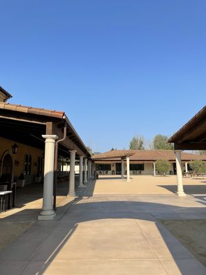 Bacchus Landing by null