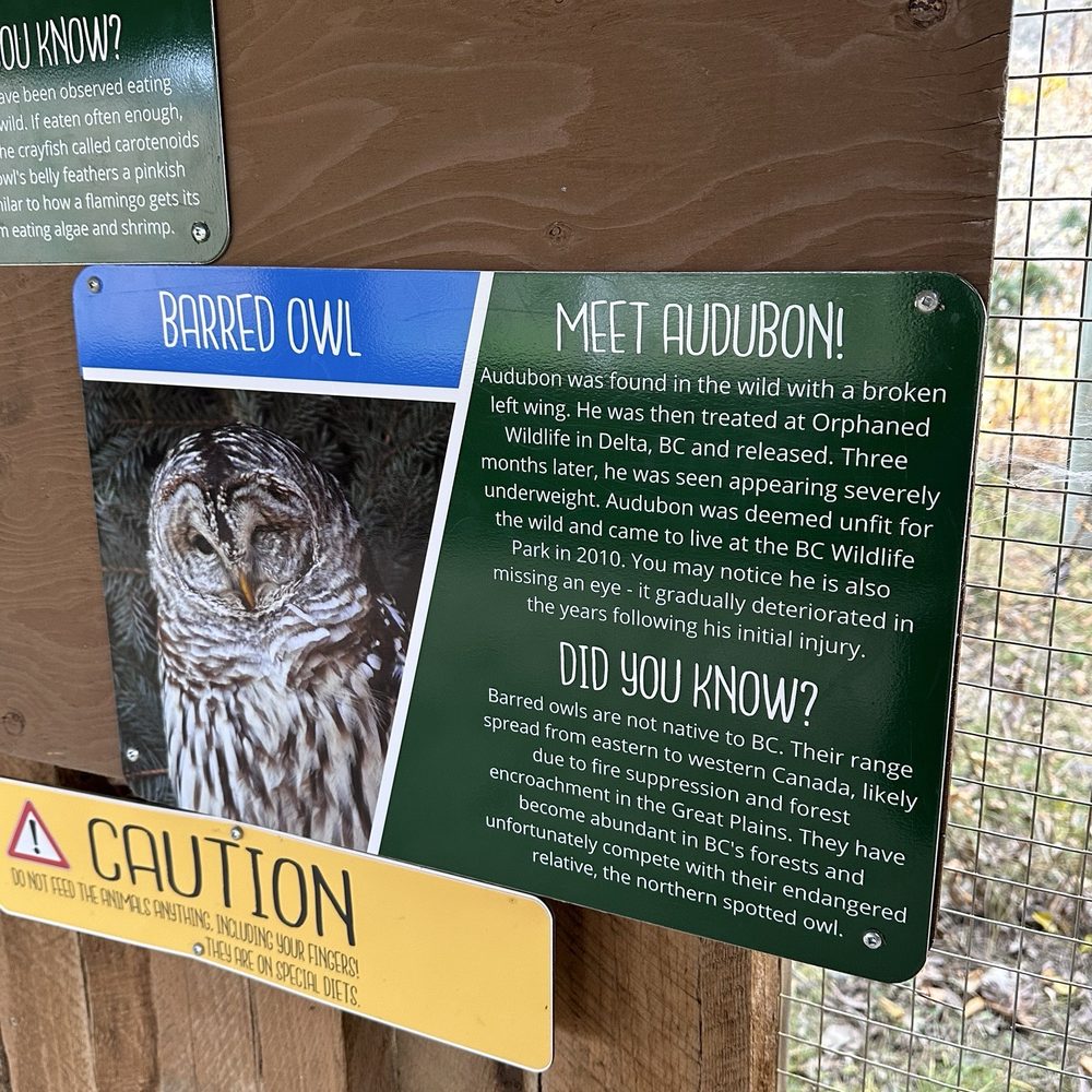 BC Wildlife Park - Zoos Near Me - Kamloops, British Columbia BC Wildlife Park - Zoos Near Me - Kamloops, British Columbia