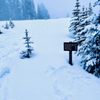 Paradise Glacier Trail - Mount Rainier National Park gift card