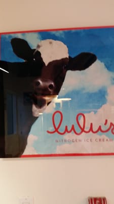 Lulu's Nitrogen Ice Cream by null