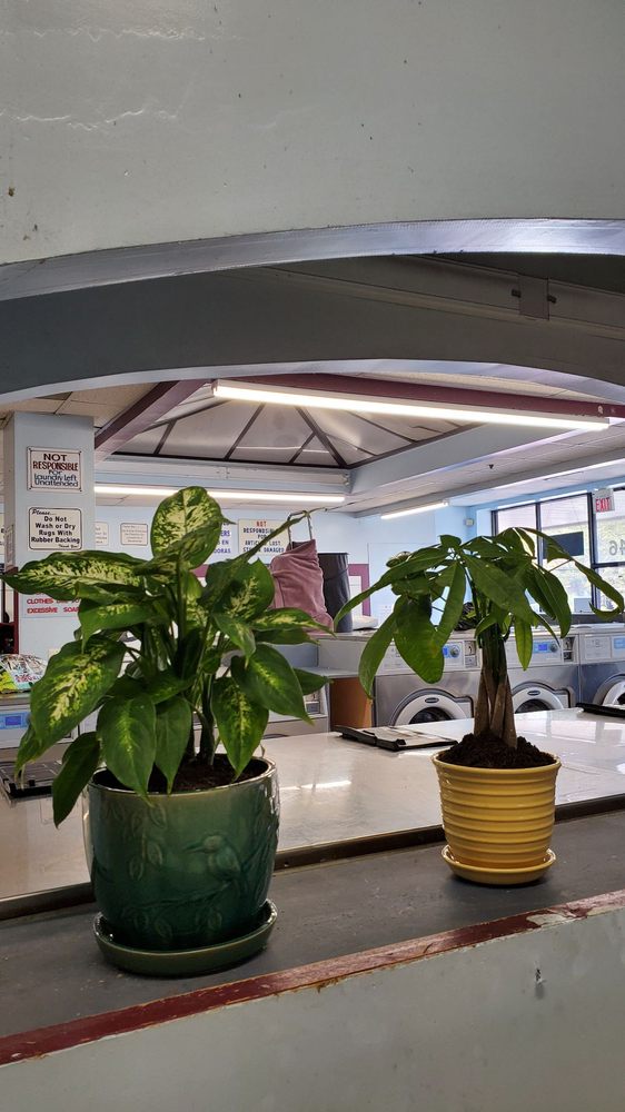 THE PRO LAUNDROMAT & DRY CLEANING Updated April 2024 146 Boston St