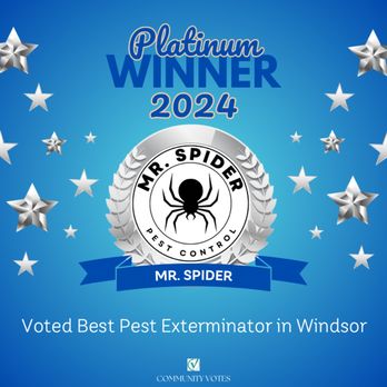 Mr Spider Pest Control - Voted #1 pest control services on CommunityVotes 2024 - Pest Control Near Me