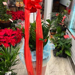 Lucky Flower - Gold Coin Tree $200