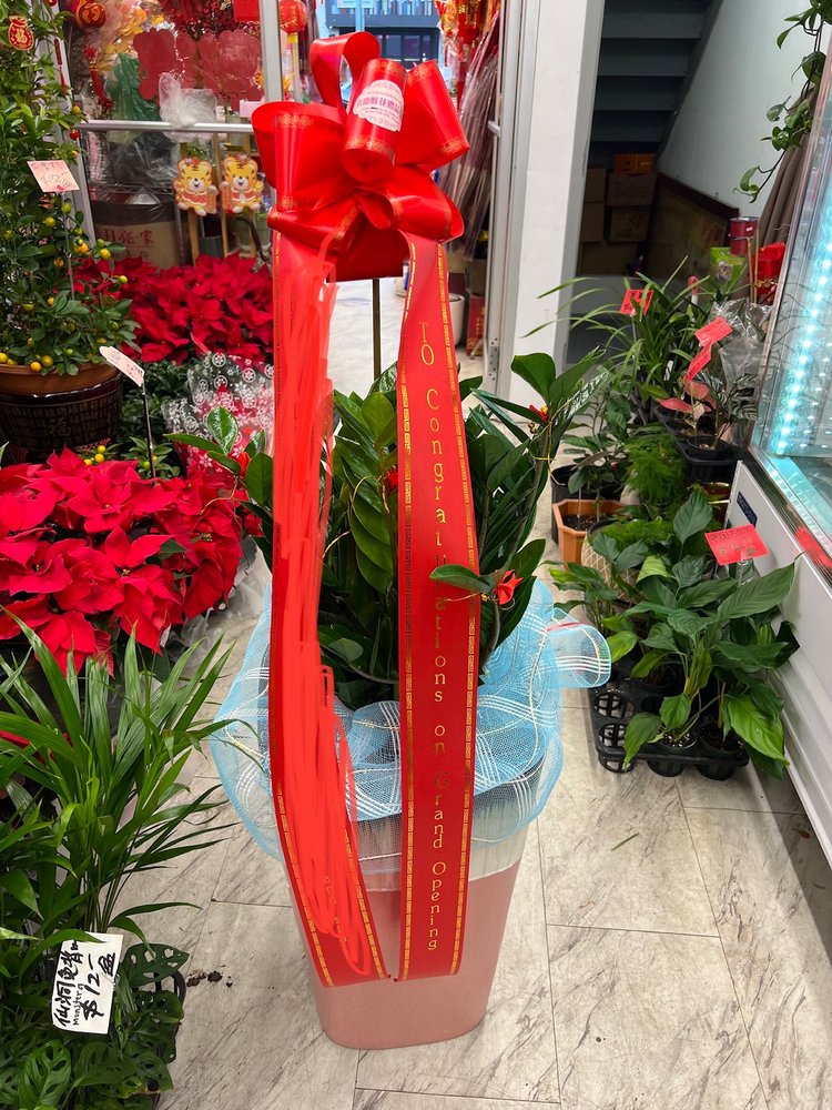 LUCKY FLOWER Updated September 2024 12 Photos 3653 Main St