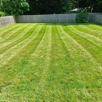 Green Toro Lawn Care - Back yard - Lawn Services Near Me Green Toro Lawn Care - Back yard - Lawn Services Near Me