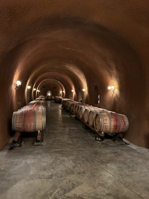Platypus Wine Tours by null