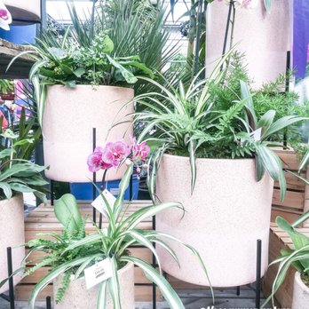 Terra - Nurseries & Gardening Near Me - Milton, Ontario