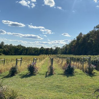 Red Heifer Winery - Wineries Near Me - Smithsburg, Maryland Red Heifer Winery - Wineries Near Me - Smithsburg, Maryland