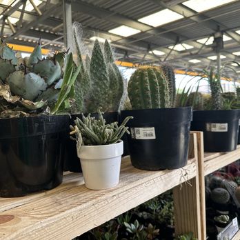 The Home Depot - Nurseries & Gardening Near Me - Owensboro, Kentucky