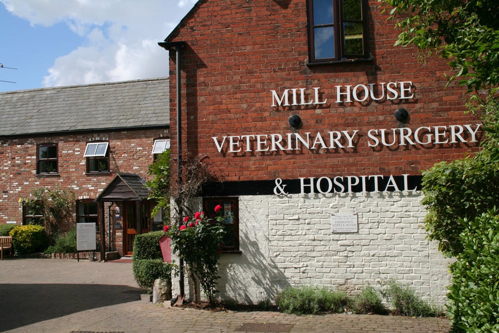 MILL HOUSE VETERINARY SURGERY & HOSPITAL 20 Tennyson Avenue, King's