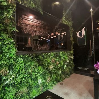 Doves - Asian Fusion Near Me - Houston, Texas Doves - Asian Fusion Near Me - Houston, Texas