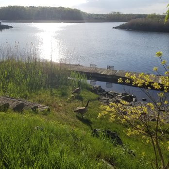 Edd's Place - See all kinds of birds. There are two osprey nests in sight of the restaurant, as well as egrets, herons (and of course baby goslings!). - American Near Me - Westbrook, Connecticut