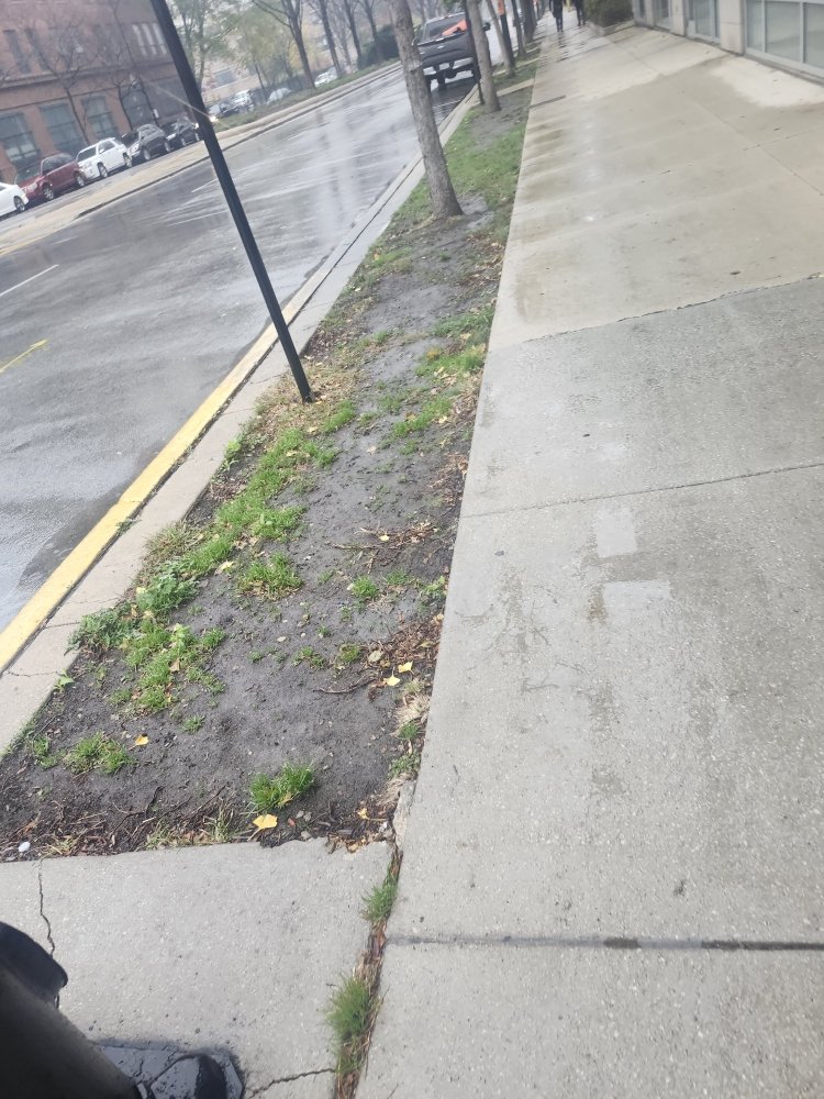 Rafael Landscaping - tree service in Chicago, IL