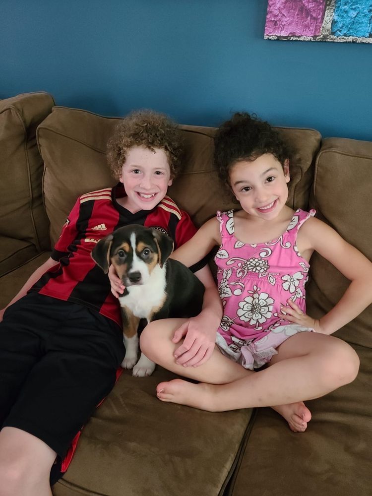 RICHARD BLUE, PHD Updated July 2024 32 Photos & 13 Reviews 6100