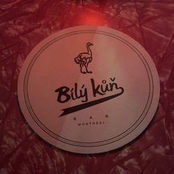 Bily Kun