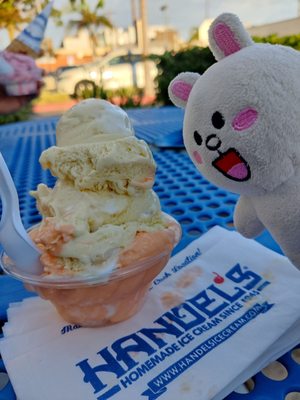 Handel's Homemade Ice Cream & Yogurt by null