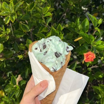 Cone Heads Ice Cream - mint is superior delicious ice cream. forget the calories on this one and get the cone - Ice Cream & Frozen Yogurt Near Me - St. Augustine, Florida Cone Heads Ice Cream - mint is superior delicious ice cream. forget the calories on this one and get the cone - Ice Cream & Frozen Yogurt Near Me - St. Augustine, Florida
