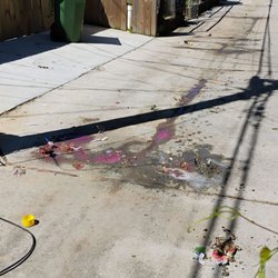 Baltimore City Department of Public Works - Nasty substance leaked from a trash truck in an alley in Baltimore City.