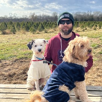 Evergreen Acres - Getting on the wagon to explore the fields! - Christmas Trees Near Me - Nokesville, Virginia Evergreen Acres - Getting on the wagon to explore the fields! - Christmas Trees Near Me - Nokesville, Virginia