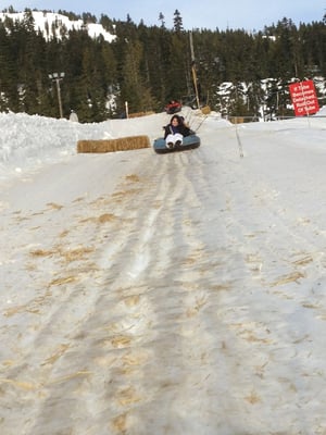 Mount Washington Alpine Resort by null