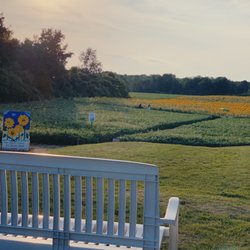 Sunflower Fields Ice Cream Shoppe