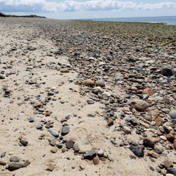 Duck Harbor Beach - 8/17/21