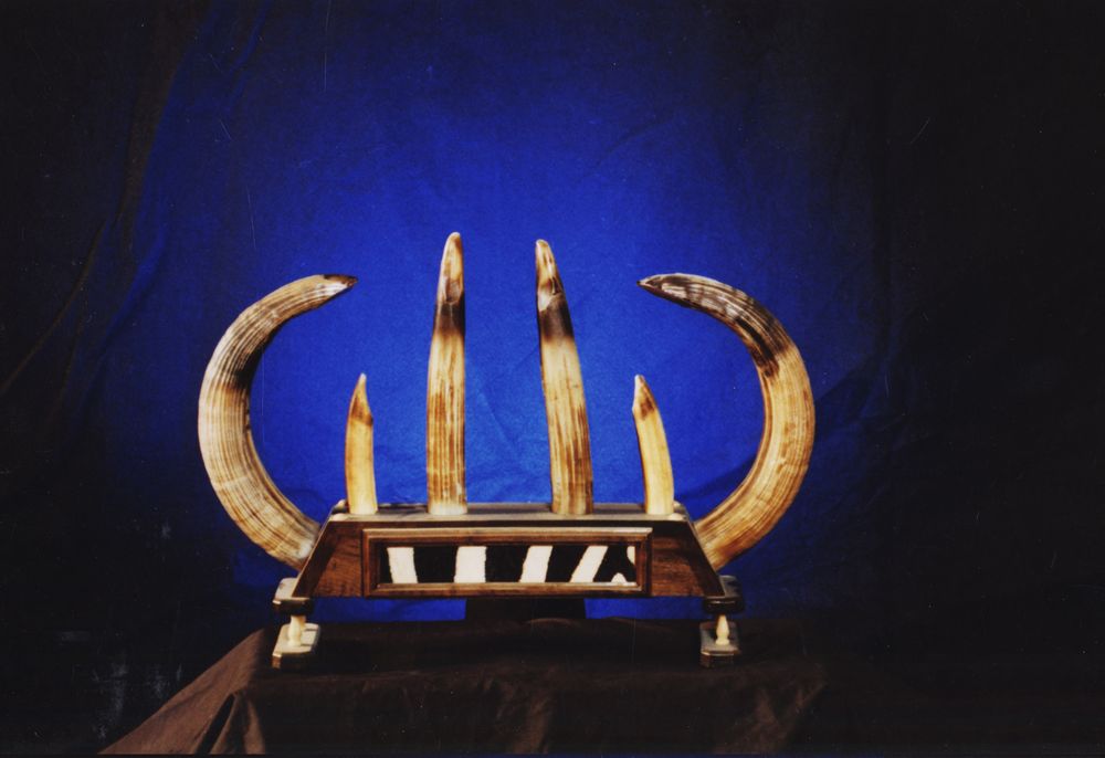 Creative Concepts - taxidermy in Jessup, MD