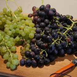 Spring Vale Vineyards - Grapes