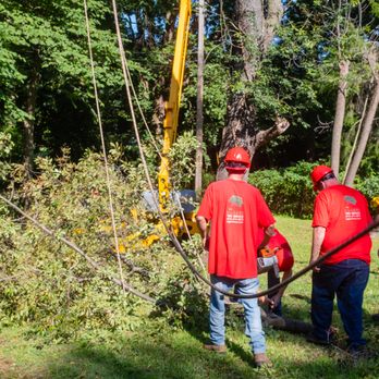 Eggers Tree Service - Tree Services Near Me - Grandview, Missouri Eggers Tree Service - Tree Services Near Me - Grandview, Missouri