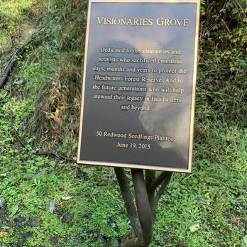 Headwaters Forest Reserve - Parks Near Me - Eureka, California Headwaters Forest Reserve - Parks Near Me - Eureka, California