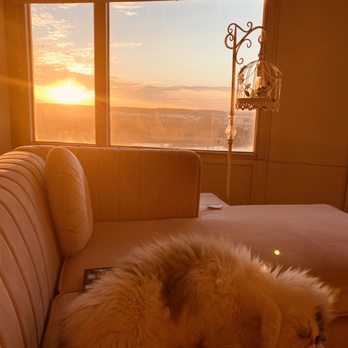 University Club Tower Apt - Sunset ft. Bunny the cat - Apartments Near Me - Tulsa, Oklahoma
