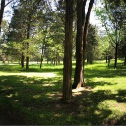 Winstead Hill Park - Cedar grove