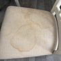 Steam Pro Carpet Cleaners