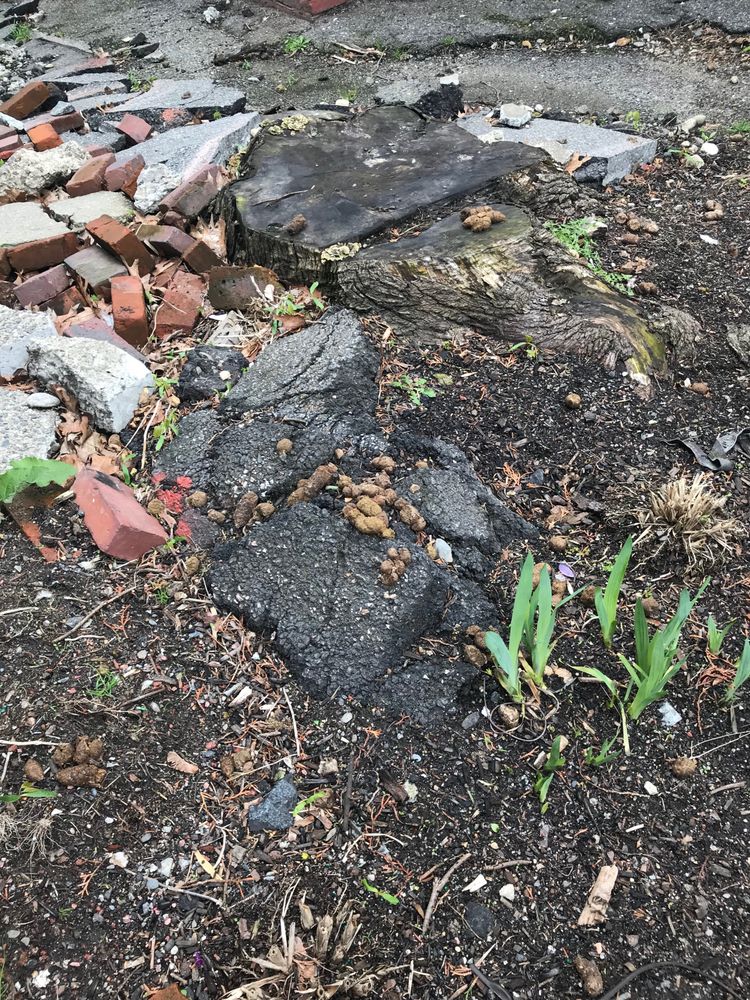 NORTHEAST PROPERTIES Updated September 2024 27 Reviews 250