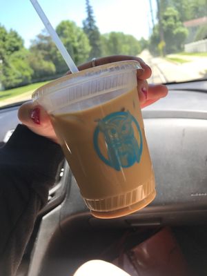 Blue Owl Coffee East Lansing by null