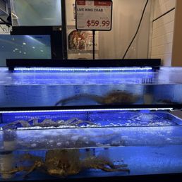 Cleanest tanks I've ever seen