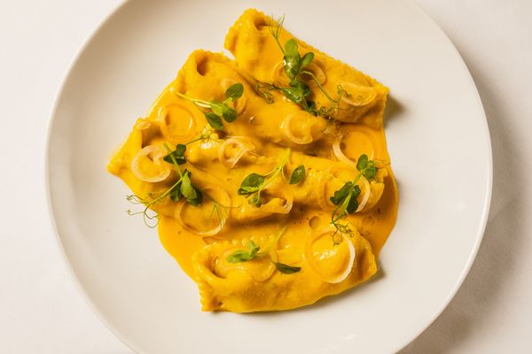 Tucci New York City by null