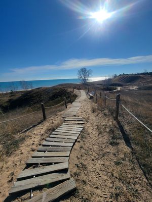 Kohler-Andrae State Park by null