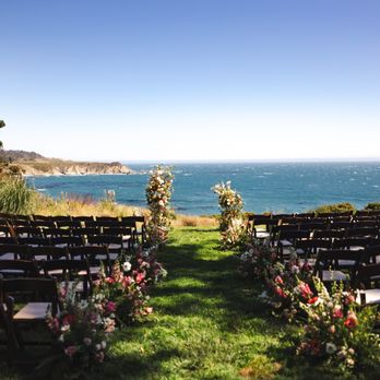 Vanda Floral Design - Florists Near Me - Petaluma, California