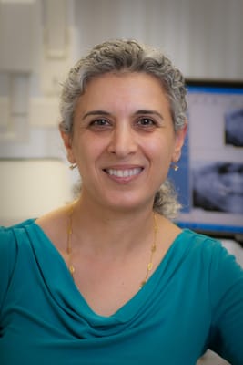 Mojgan Rostamian, DMD