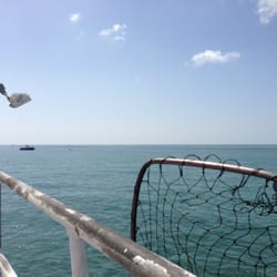 Cape Marina - }|{