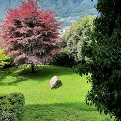 Hotel Garni Partaneshof - Blick vom Balkon