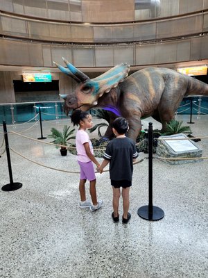 Springs Preserve by null