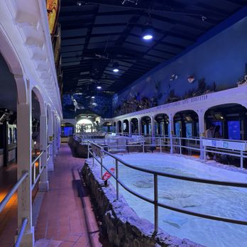 Key West Aquarium - Aquariums Near Me - Key West, Florida