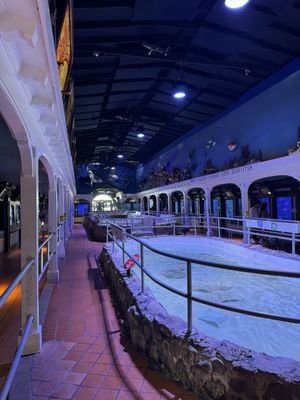 Key West Aquarium by null