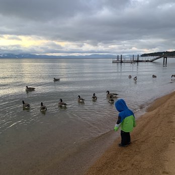 Edgewood Tahoe - Making friends with the local flock of geese - Hotels Near Me - Gardnerville, Nevada Edgewood Tahoe - Making friends with the local flock of geese - Hotels Near Me - Gardnerville, Nevada