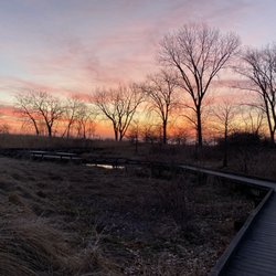 South Shore Nature Sanctuary - Path through the bird sanctuary